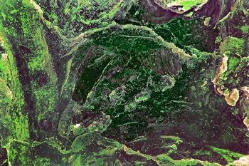 A 278B